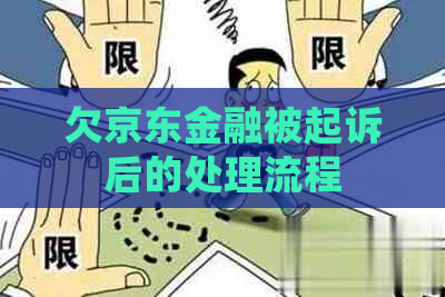 欠京东金融被起诉后的处理流程