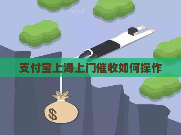 支付宝上海上门如何操作