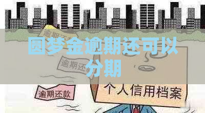 圆梦金逾期还可以分期