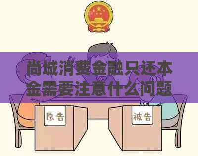 尚城消费金融只还本金需要注意什么问题