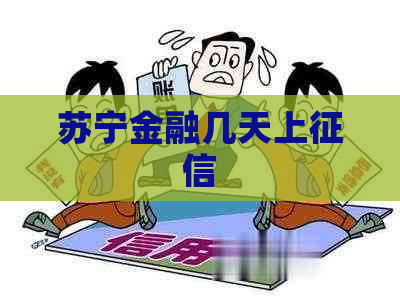 苏宁金融几天上