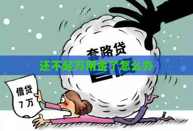 还不起万用金了怎么办