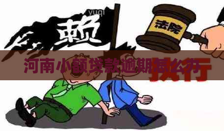 河南小额贷款逾期怎么办