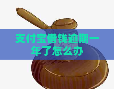 支付宝借钱逾期一年了怎么办