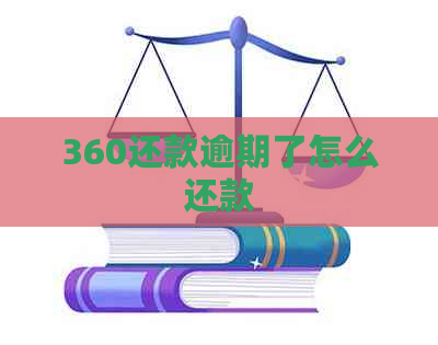 360还款逾期了怎么还款