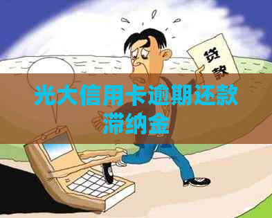 光大信用卡逾期还款滞纳金