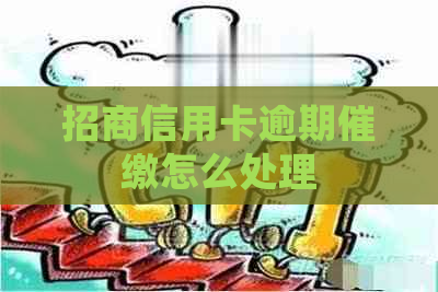 招商信用卡逾期催缴怎么处理