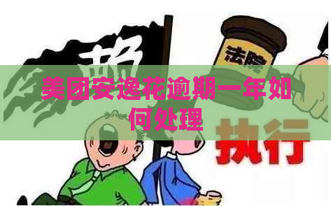 美团安逸花逾期一年如何处理