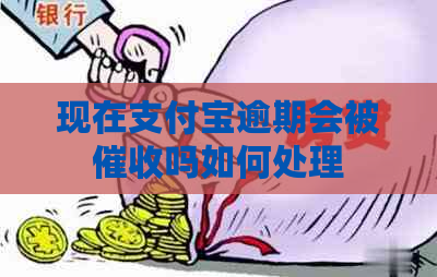 现在支付宝逾期会被吗如何处理