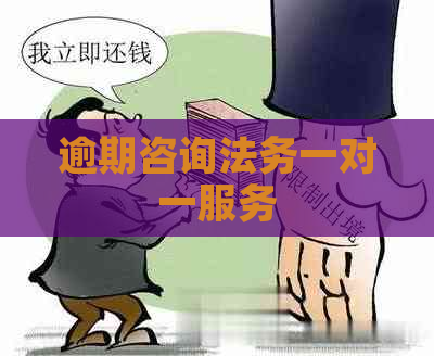 逾期咨询法务一对一服务