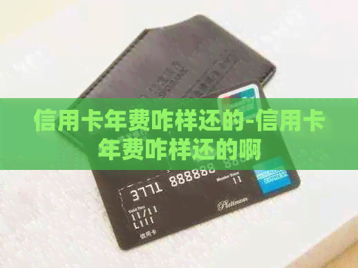 信用卡年费咋样还的-信用卡年费咋样还的啊