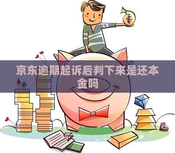 京东逾期起诉后判下来是还本金吗