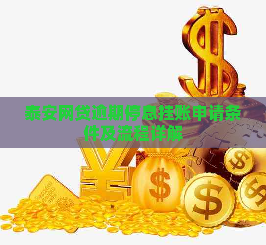 泰安网贷逾期停息挂账申请条件及流程详解