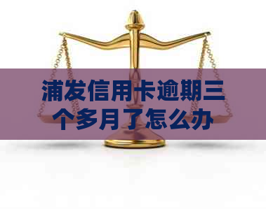 浦发信用卡逾期三个多月了怎么办