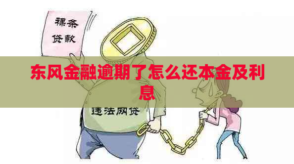 东风金融逾期了怎么还本金及利息