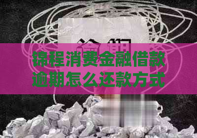 锦程消费金融借款逾期怎么还款方式