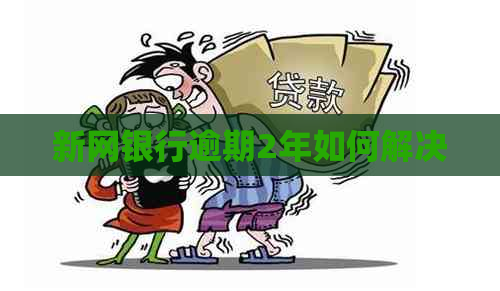 新网银行逾期2年如何解决