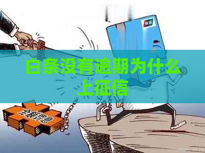 白条没有逾期为什么上