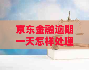 京东金融逾期一天怎样处理