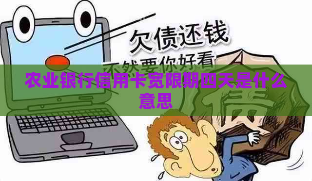 农业银行信用卡宽限期四天是什么意思