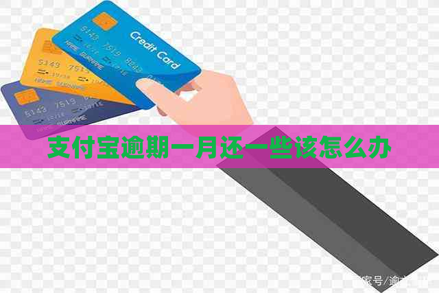 支付宝逾期一月还一些该怎么办