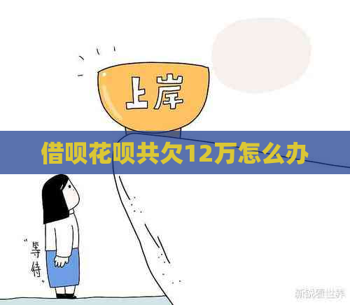 借呗花呗共欠12万怎么办