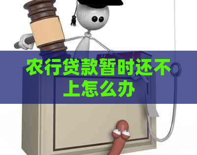 农行贷款暂时还不上怎么办