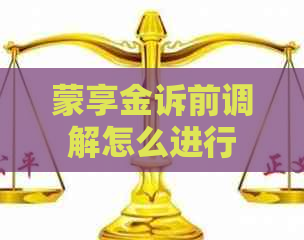 蒙享金诉前调解怎么进行