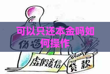 可以只还本金吗如何操作