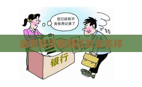 金农易贷逾期还款会怎样