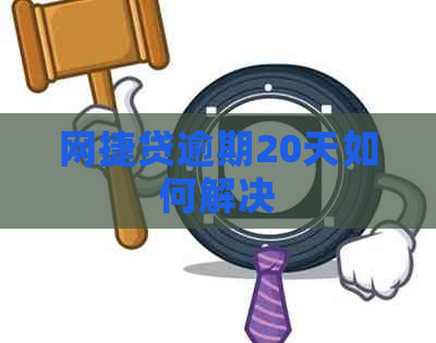 网捷贷逾期20天如何解决