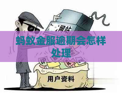 蚂蚁金服逾期会怎样处理