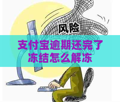 支付宝逾期还完了冻结怎么解冻