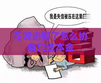 花呗逾期了怎么协商只还本金