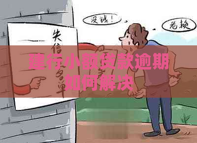 建行小额贷款逾期如何解决