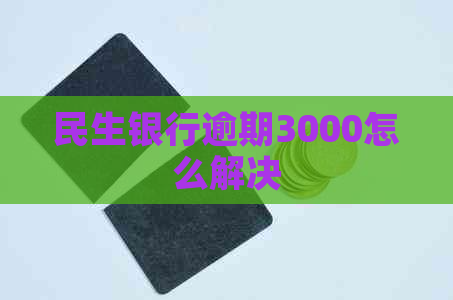 民生银行逾期3000怎么解决