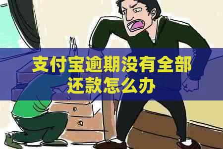 支付宝逾期没有全部还款怎么办