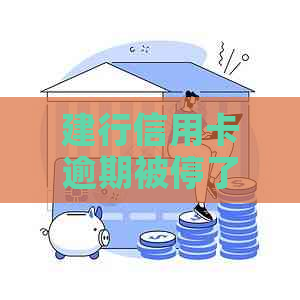 建行信用卡逾期被停了怎么办