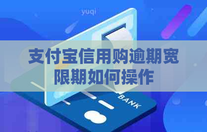 支付宝信用购逾期宽限期如何操作