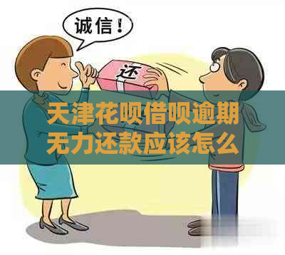 天津花呗借呗逾期无力还款应该怎么处理