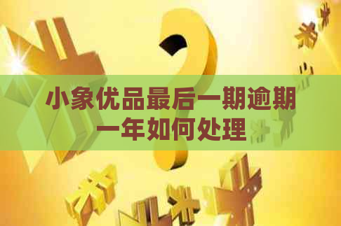 小象优品最后一期逾期一年如何处理