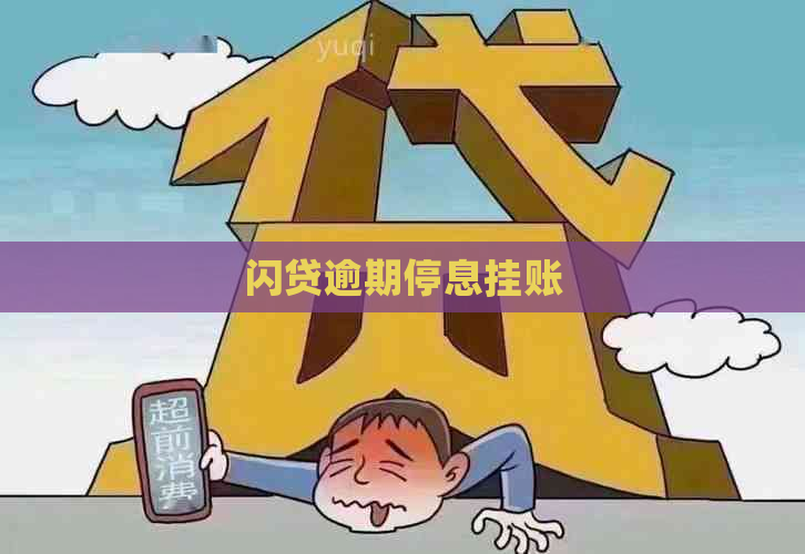 闪贷逾期停息挂账