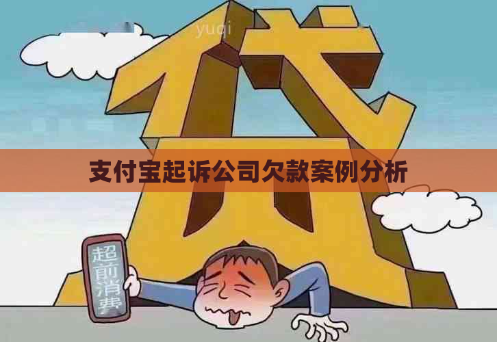 支付宝起诉公司欠款案例分析