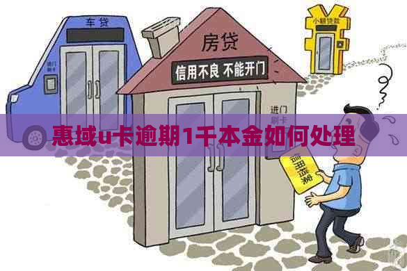 惠域u卡逾期1千本金如何处理