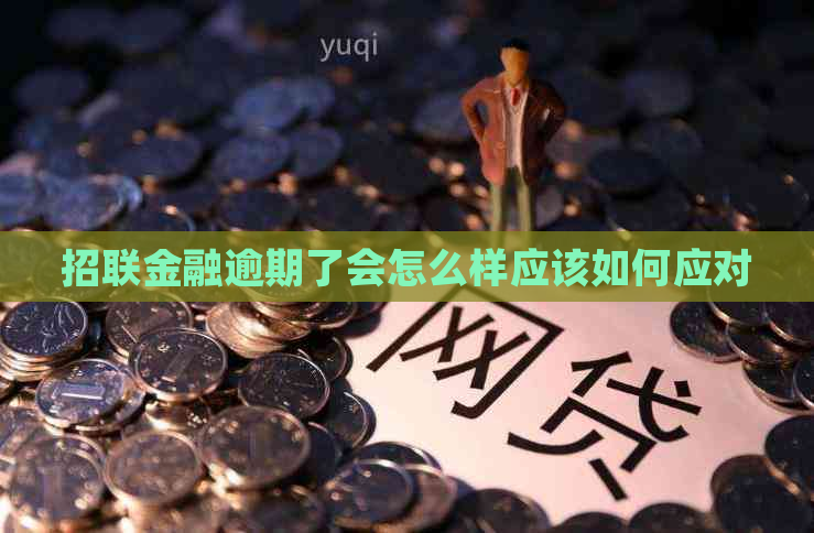 招联金融逾期了会怎么样应该如何应对