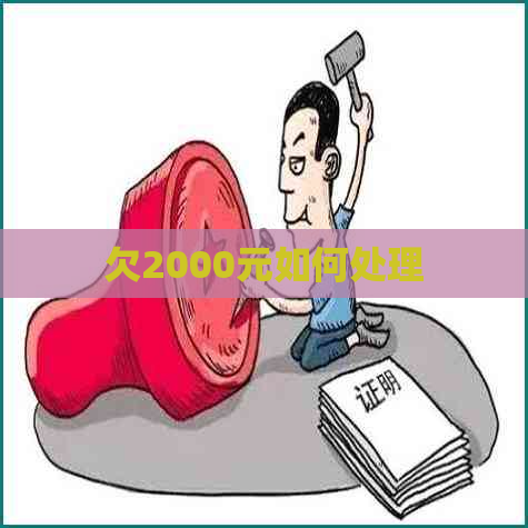 欠2000元如何处理