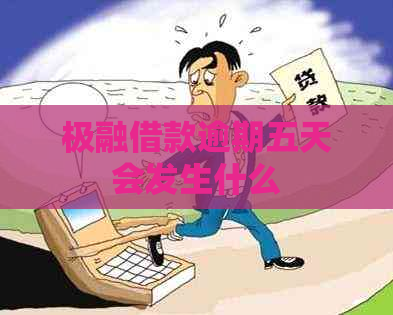 极融借款逾期五天会发生什么