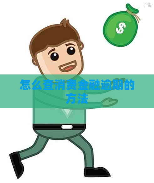 怎么查消费金融逾期的方法