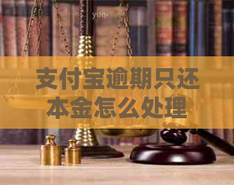 支付宝逾期只还本金怎么处理