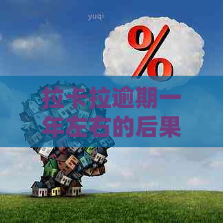 拉卡拉逾期一年左右的后果及解决方法